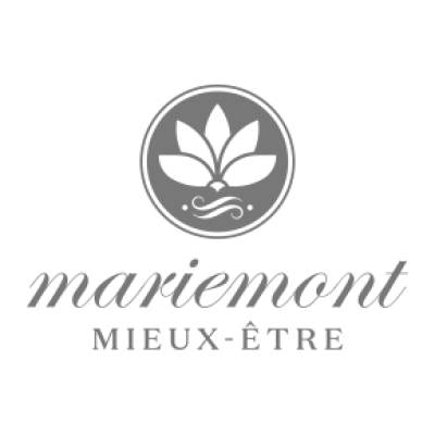 Référence Agence Web SoWeDo : Mariemont Village