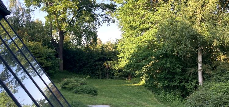 Construisons ensemble un avenir numérique éthique et durable. Créons le web éthique et vert de demain avec SoWeDo.